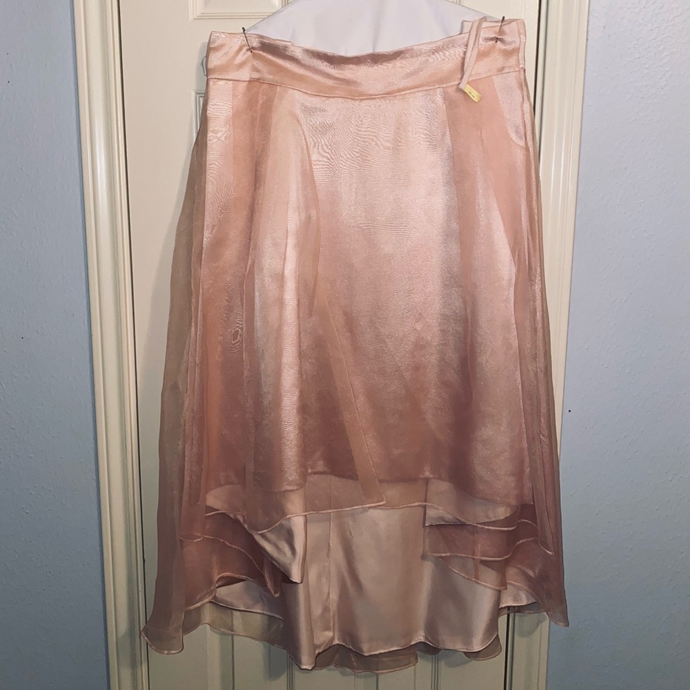HiLo chiffon skirt Sz 24 in blush